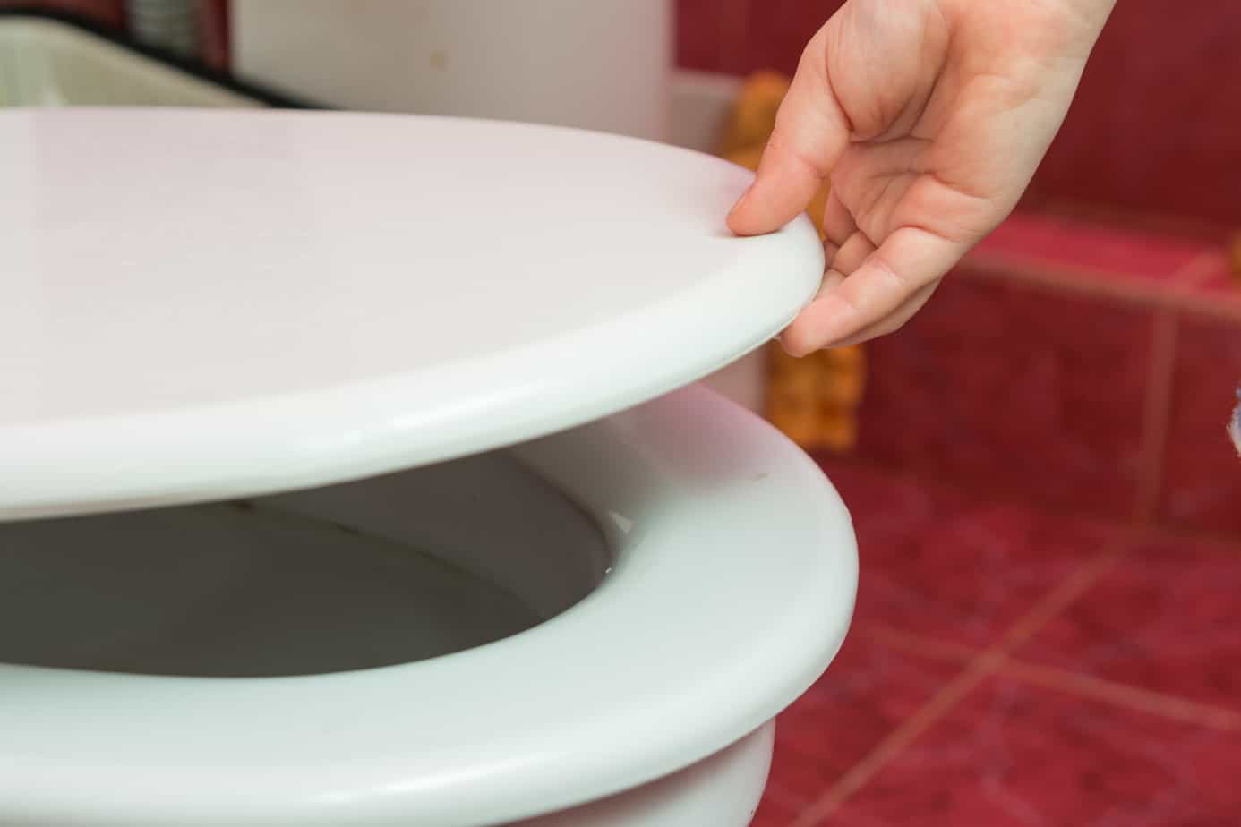 How To Make Toilet Seat Not Move at Lynn Wolf blog