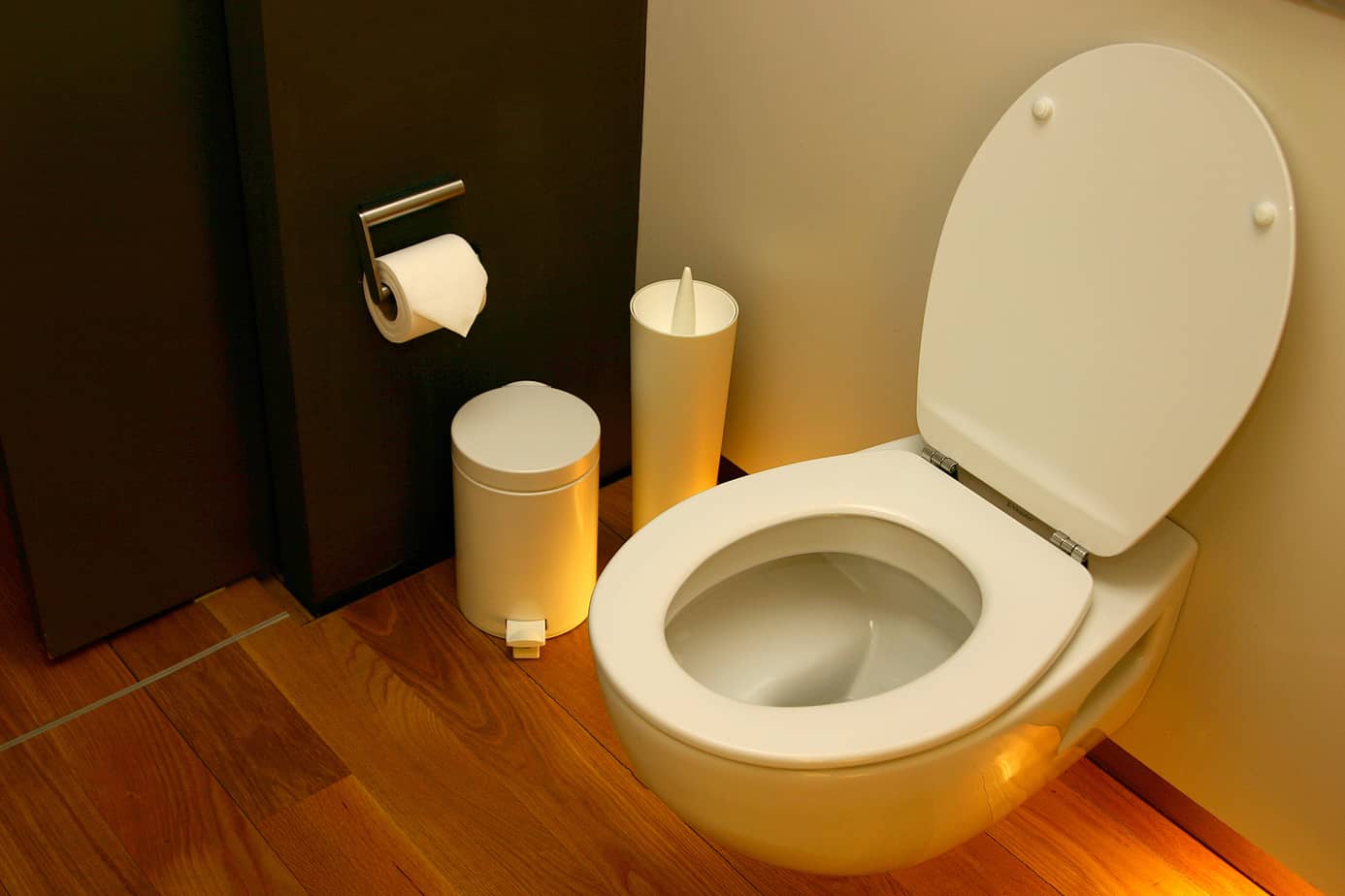Types of toilet seats Project for Home