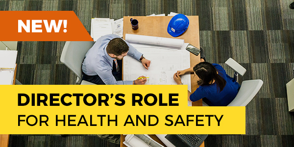 CITB Director's Role for Health and Safety Project Health and Safety
