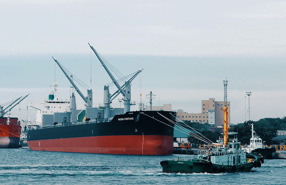 Project India Shipping & Chartering Services. The experts in moving