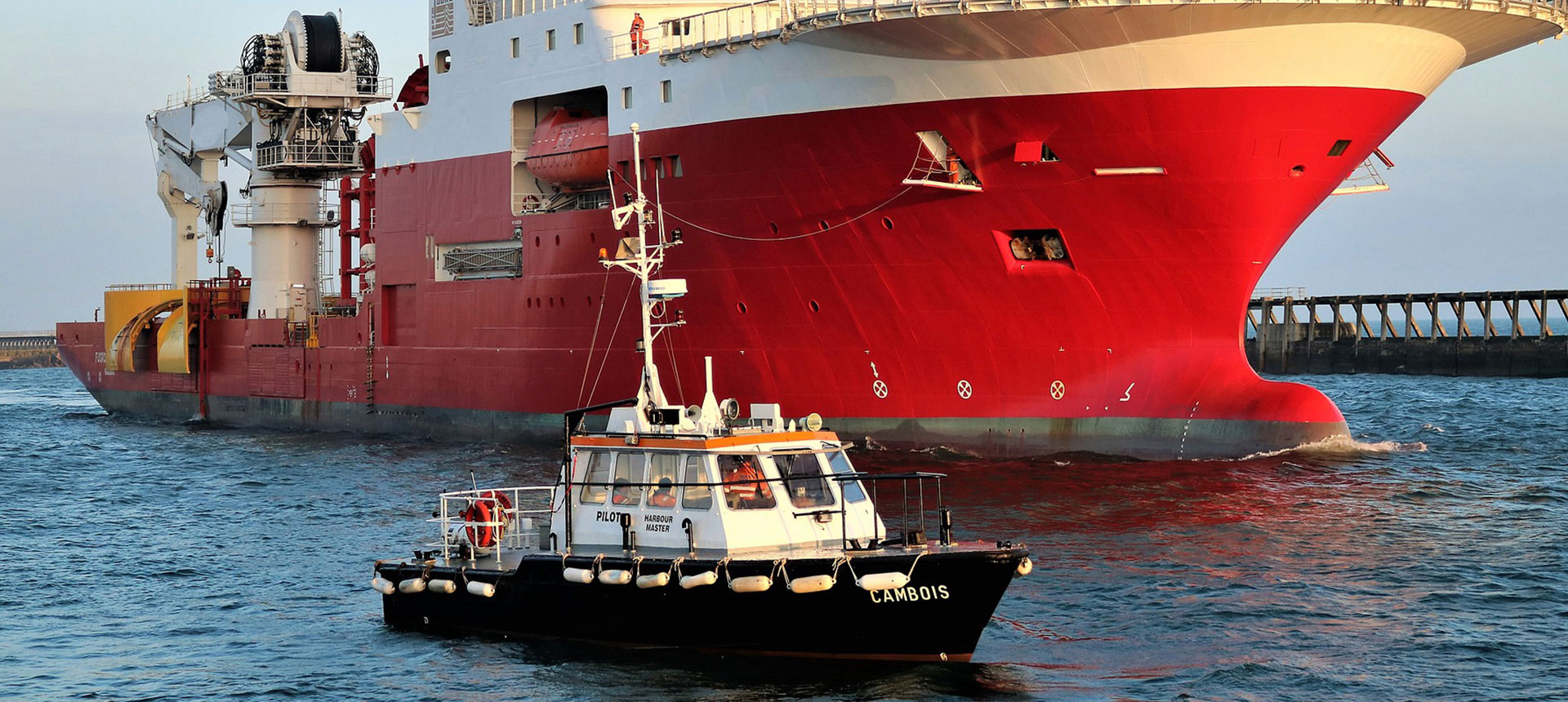 Project India Shipping & Chartering Services. The experts in moving