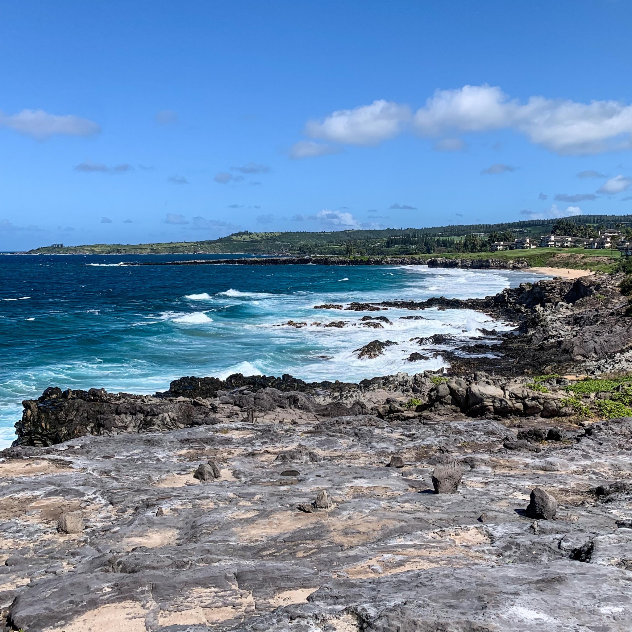 PMP Travels Hawaii (Part 2 Maui) Project Meal Plan