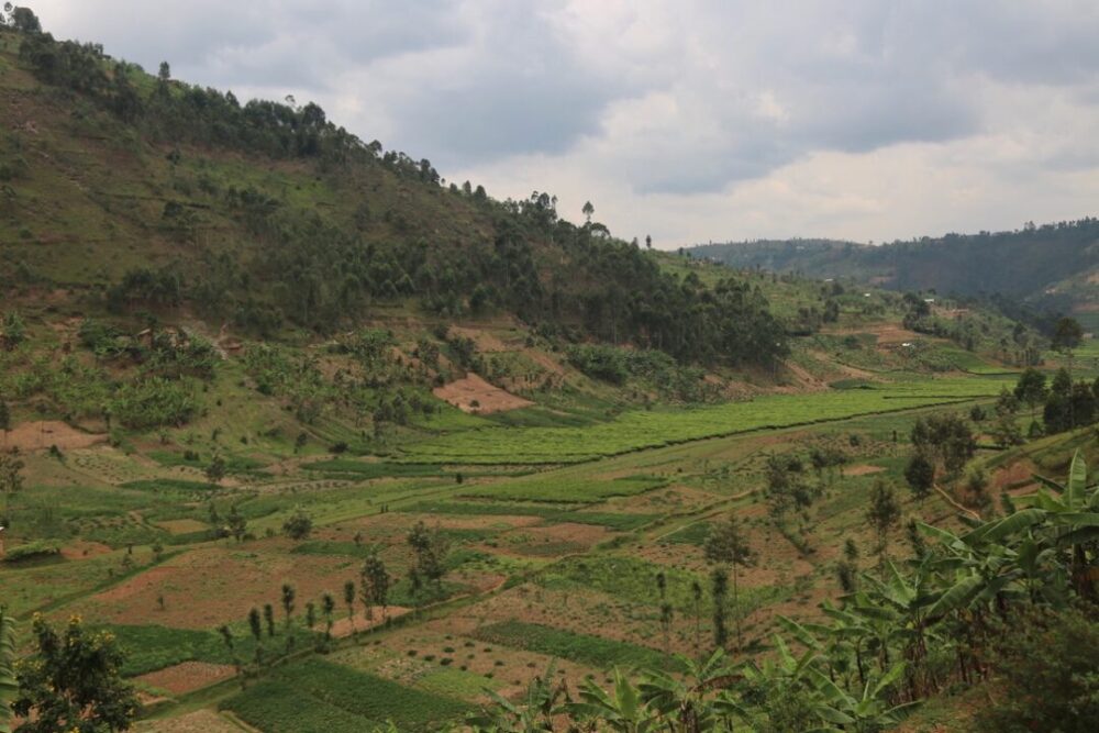 Tumba Project Origin