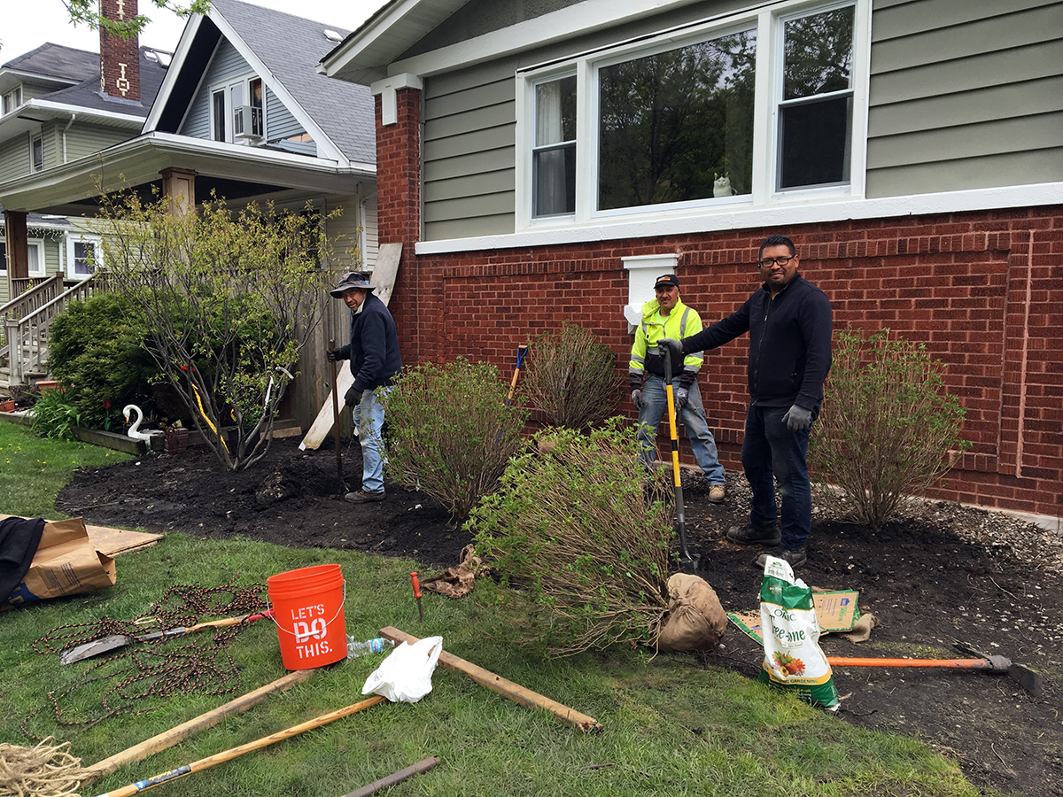 Front Yard Painting and Landscaping Project Palermo