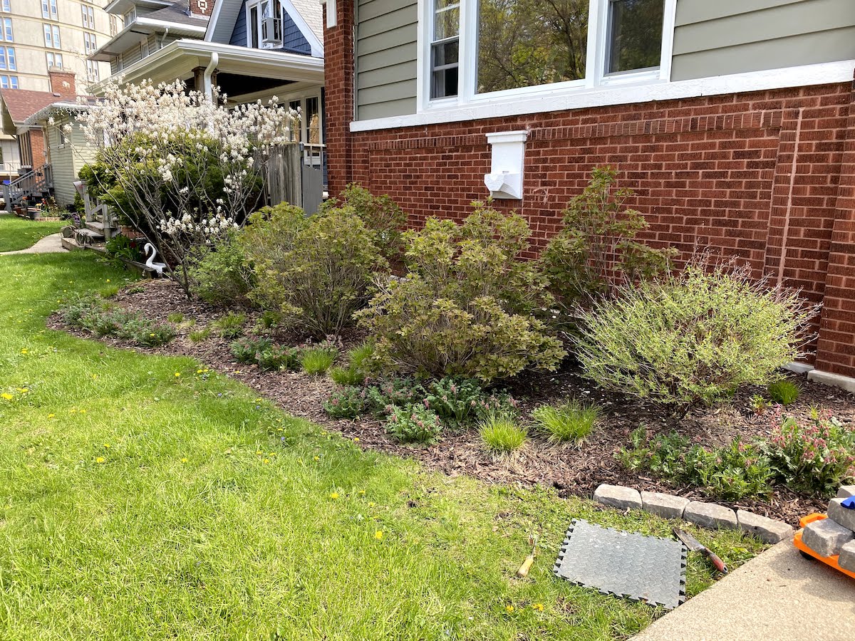 ORC Week 4 Our Bungalow’s Front Yard Landscaping Project Palermo