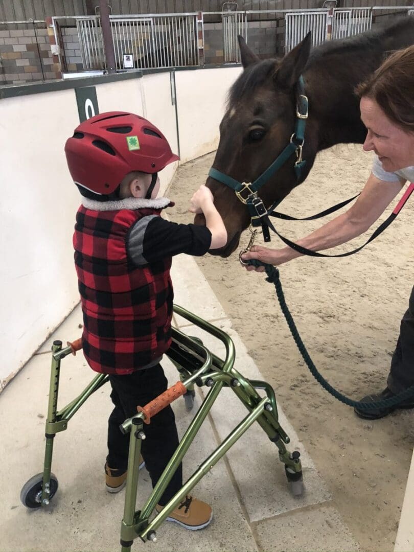 Horseback Riding in Elk Grove, CA Project R.I.D.E., Inc.
