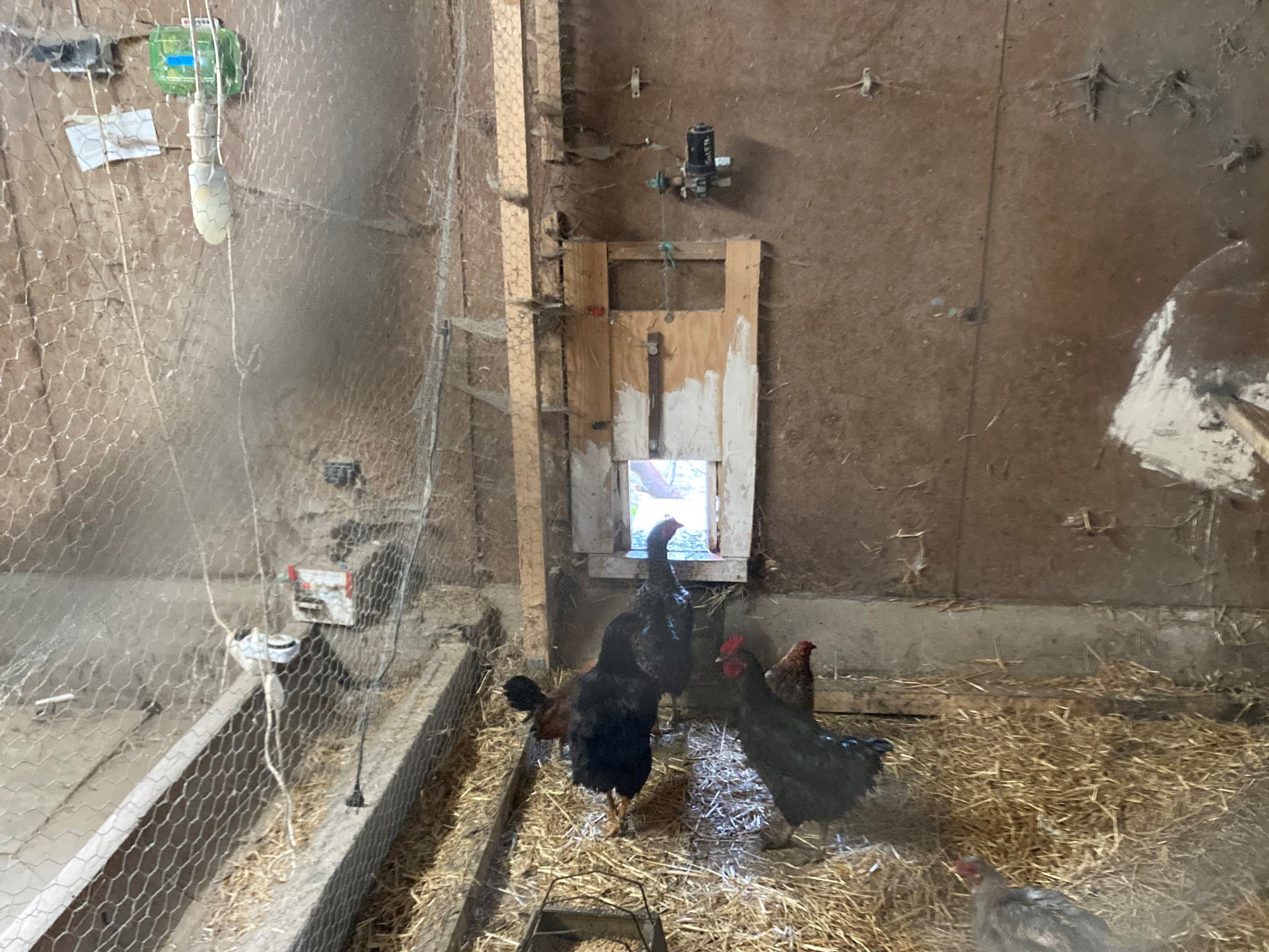 Automated Door for Chicken Coop Arduino Project Hub