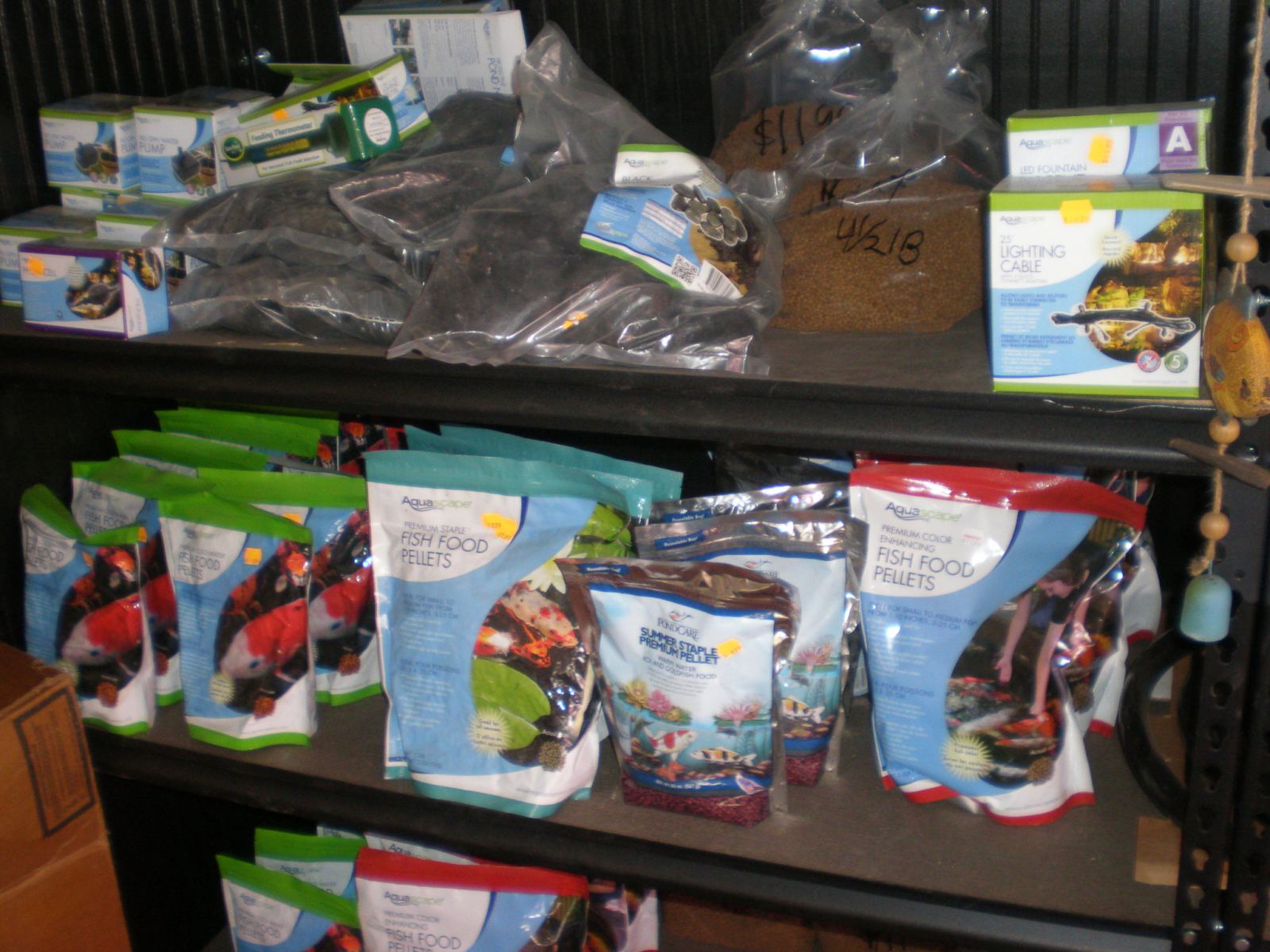 Fish & Supplies Dick's Garden Center