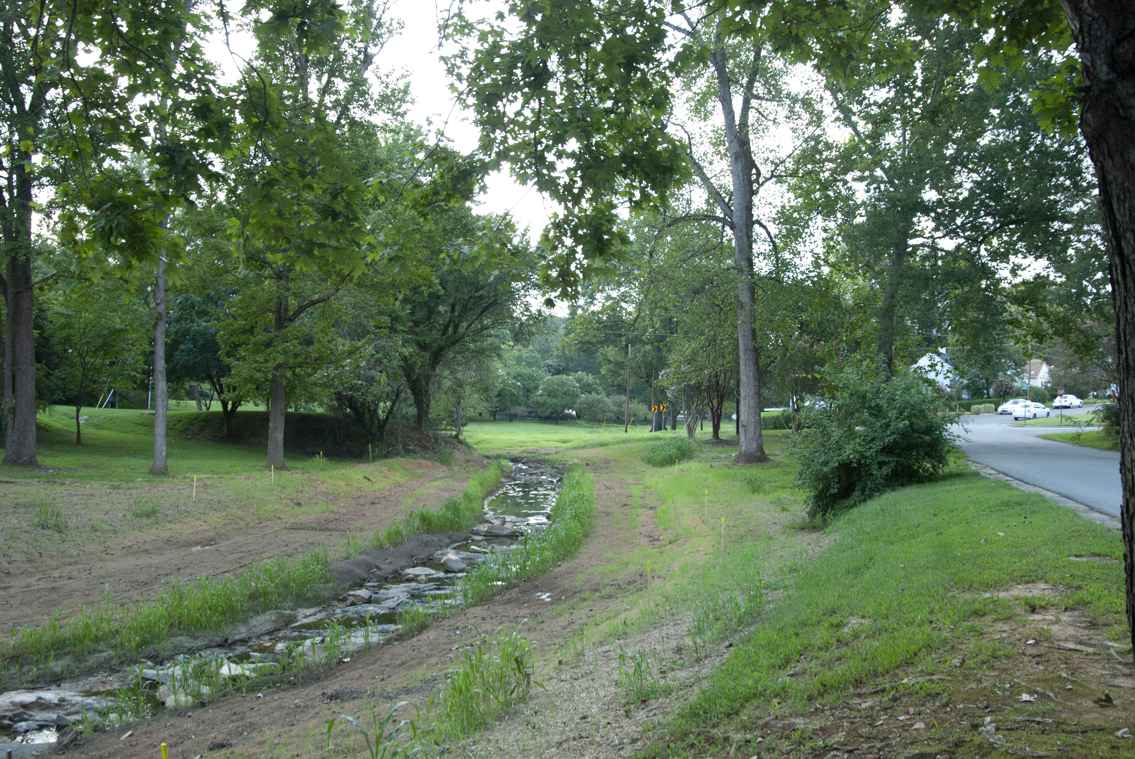 Willowbrook Park anticipates transformation with new arboretum