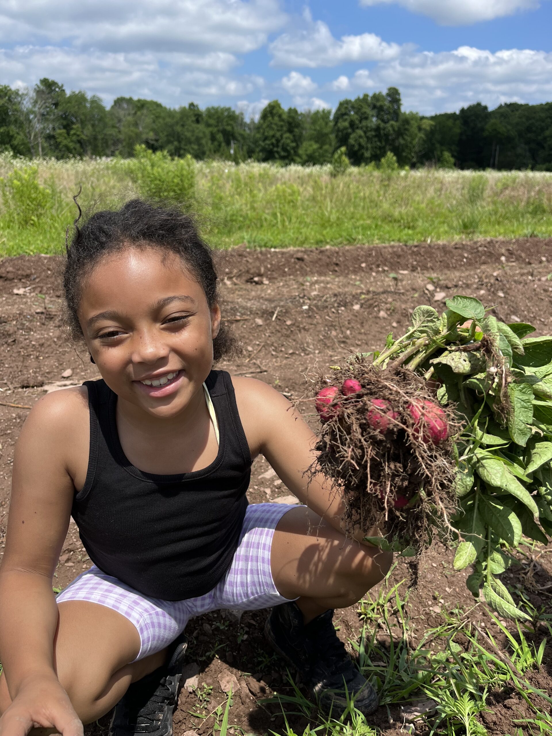 Progress report for FNE22023 SARE Grant Management System