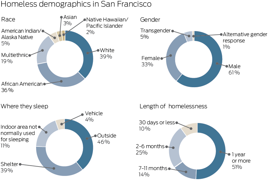 Homelessness Pie Chart