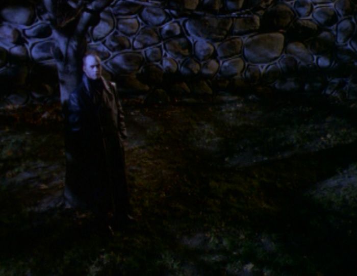 Vampires In Sanctuary
