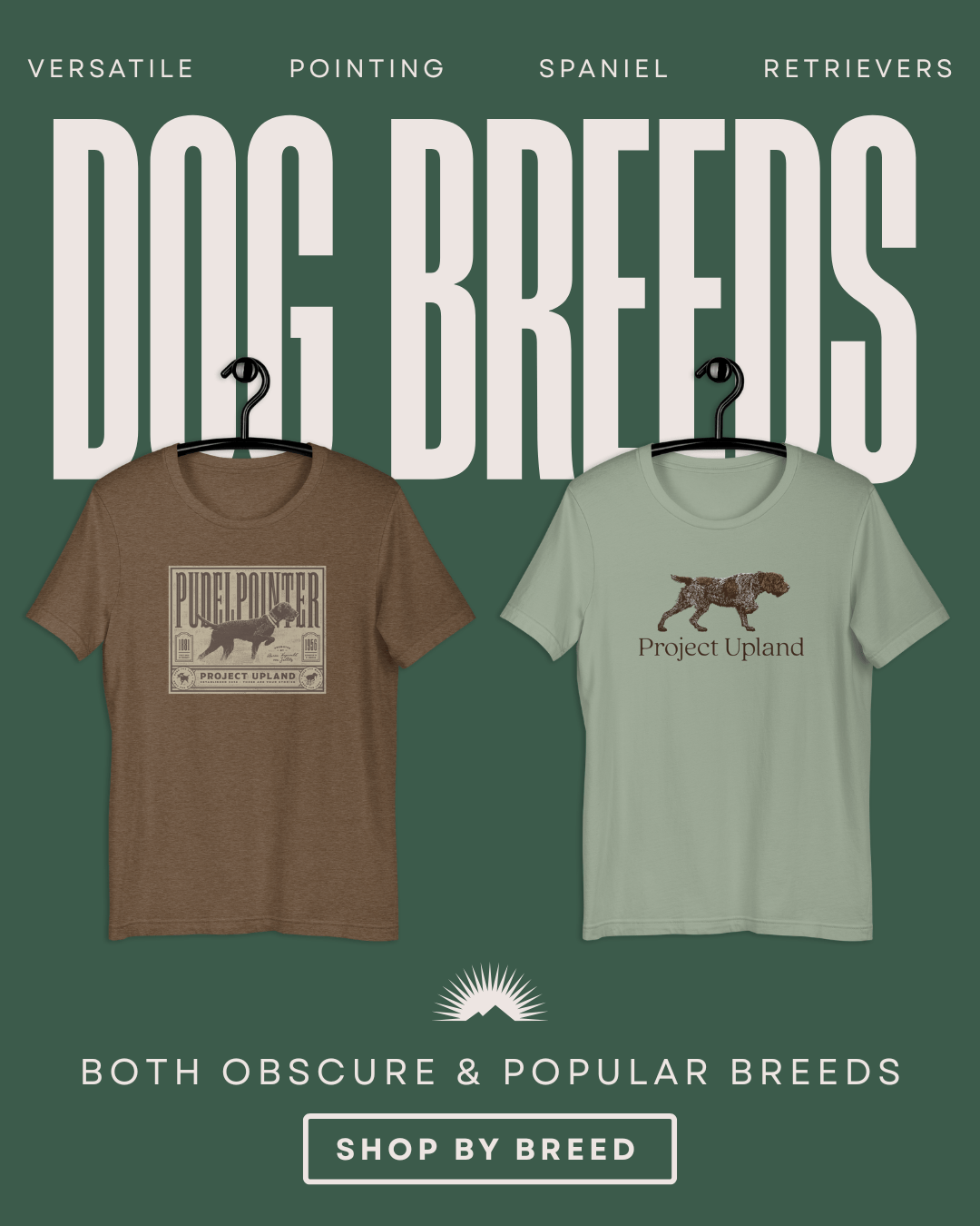 Gordon Setter Fact And Fiction Of The Breed Of Scotlands Gordon Castle