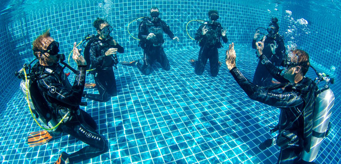 PADI Diving Course Malaysia Everything You Wanted To Know Project