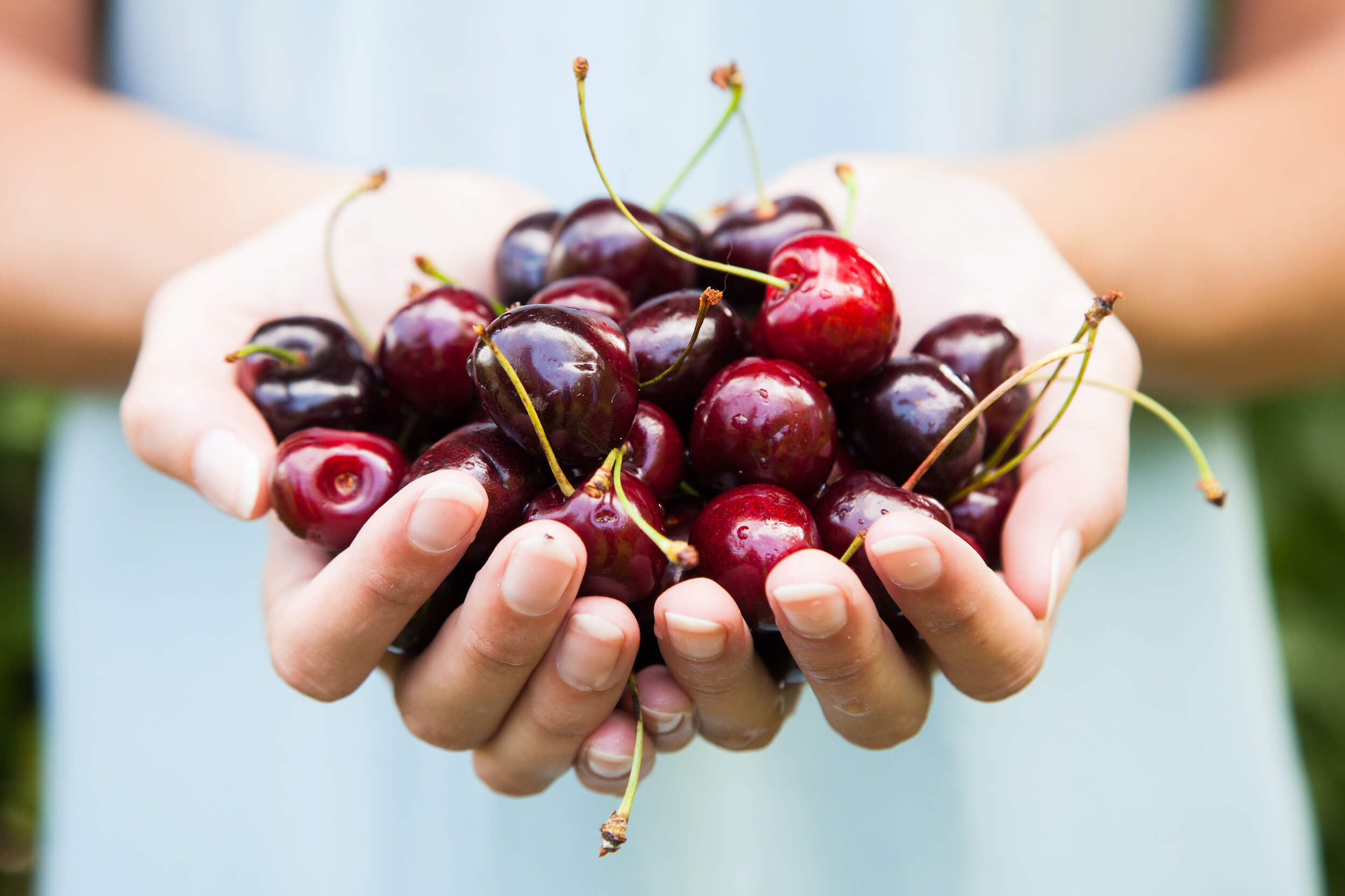 WHAT ARE CHERRIES GOOD FOR? Project Wellness Now
