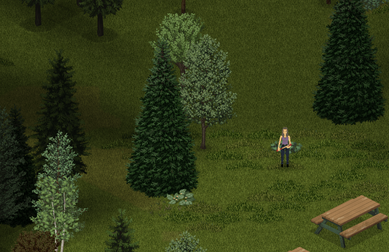 Status and Build History Project Zomboid