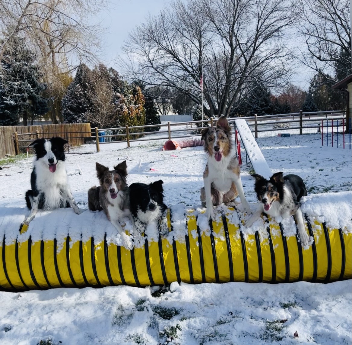 Classes Projekt Performance