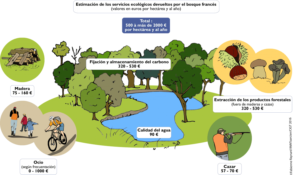 El valor de la biodiversidad ProjetBiodiv