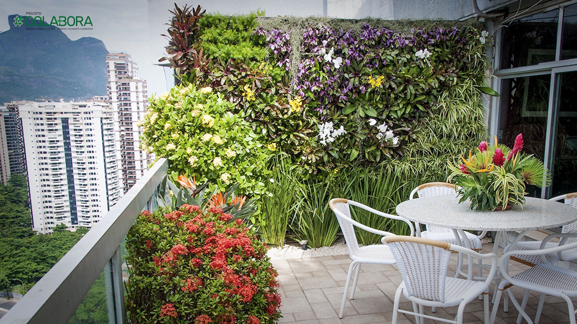 Jardim vertical como montar um em seu apartamento