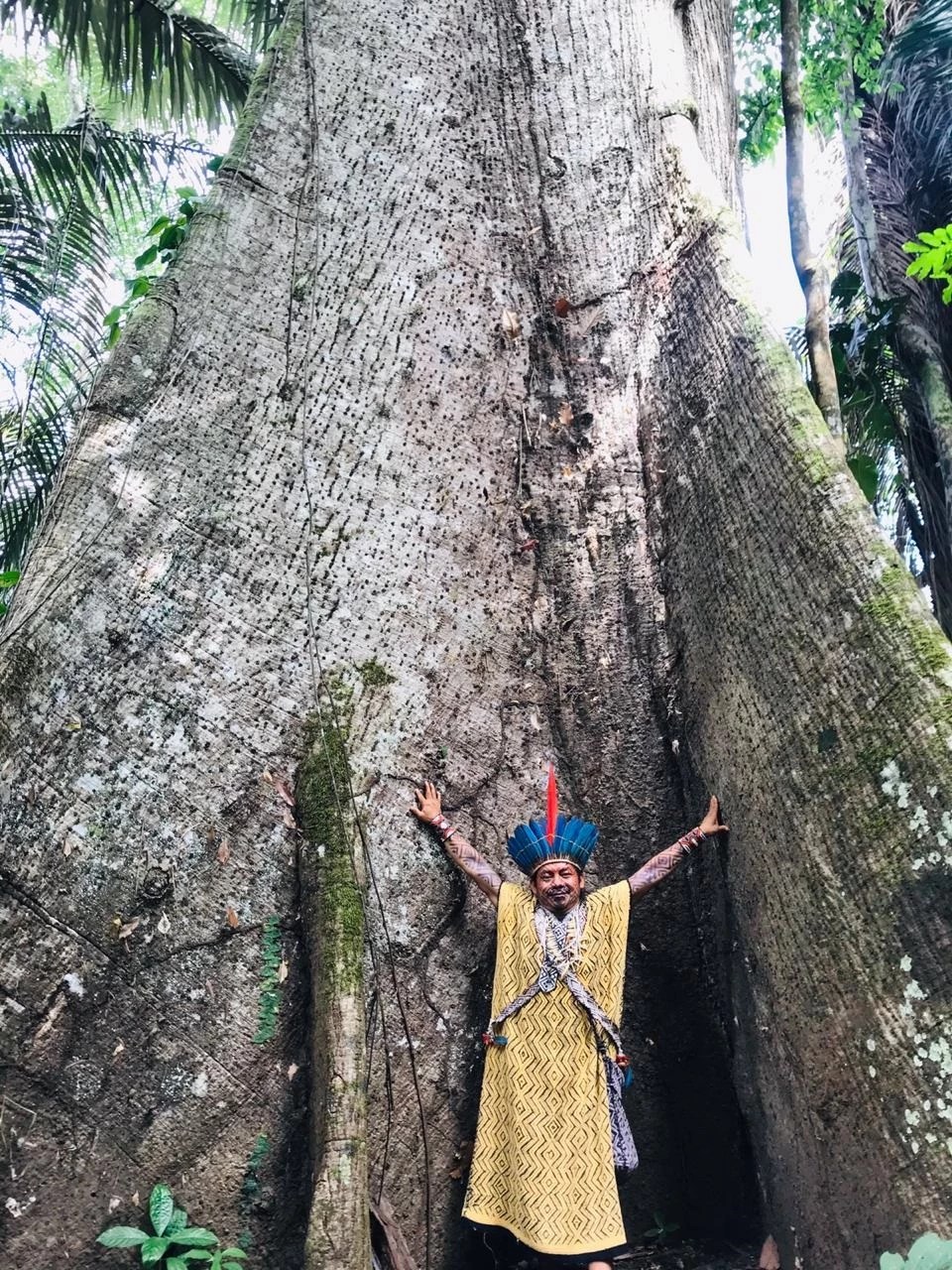 'Proteger a floresta é uma responsabilidade da humanidade'