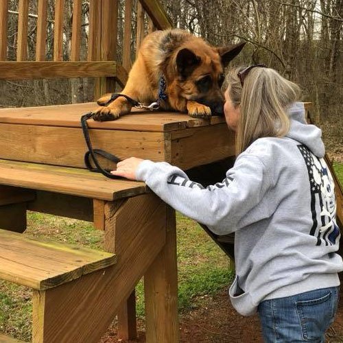 Obedience Professional Canine Services