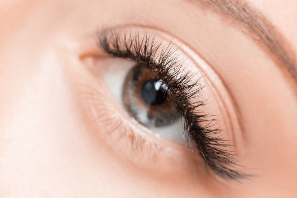 Classic Lash Extension Training ProLash Ireland