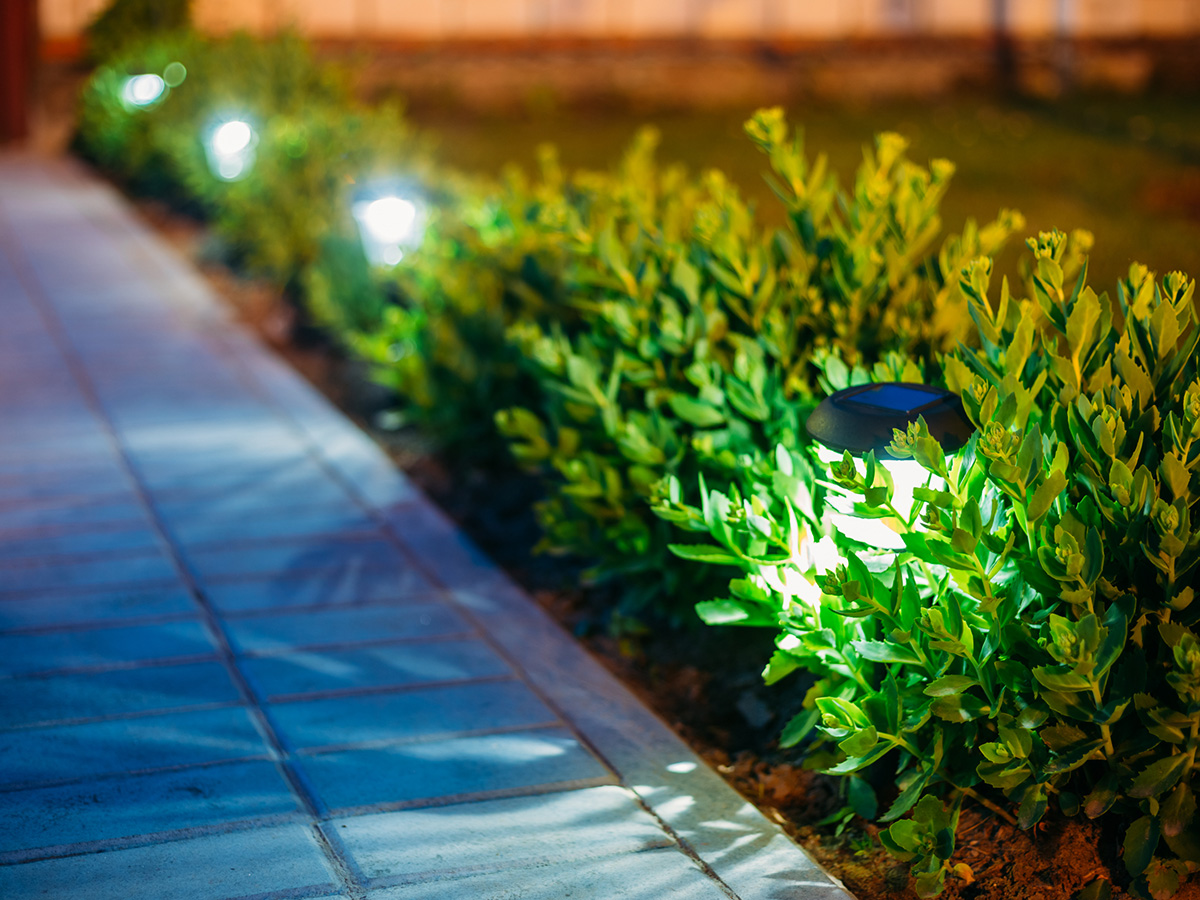 Solar Garden Light, Lanterns In Flower Bed. Garden Design Prolawn
