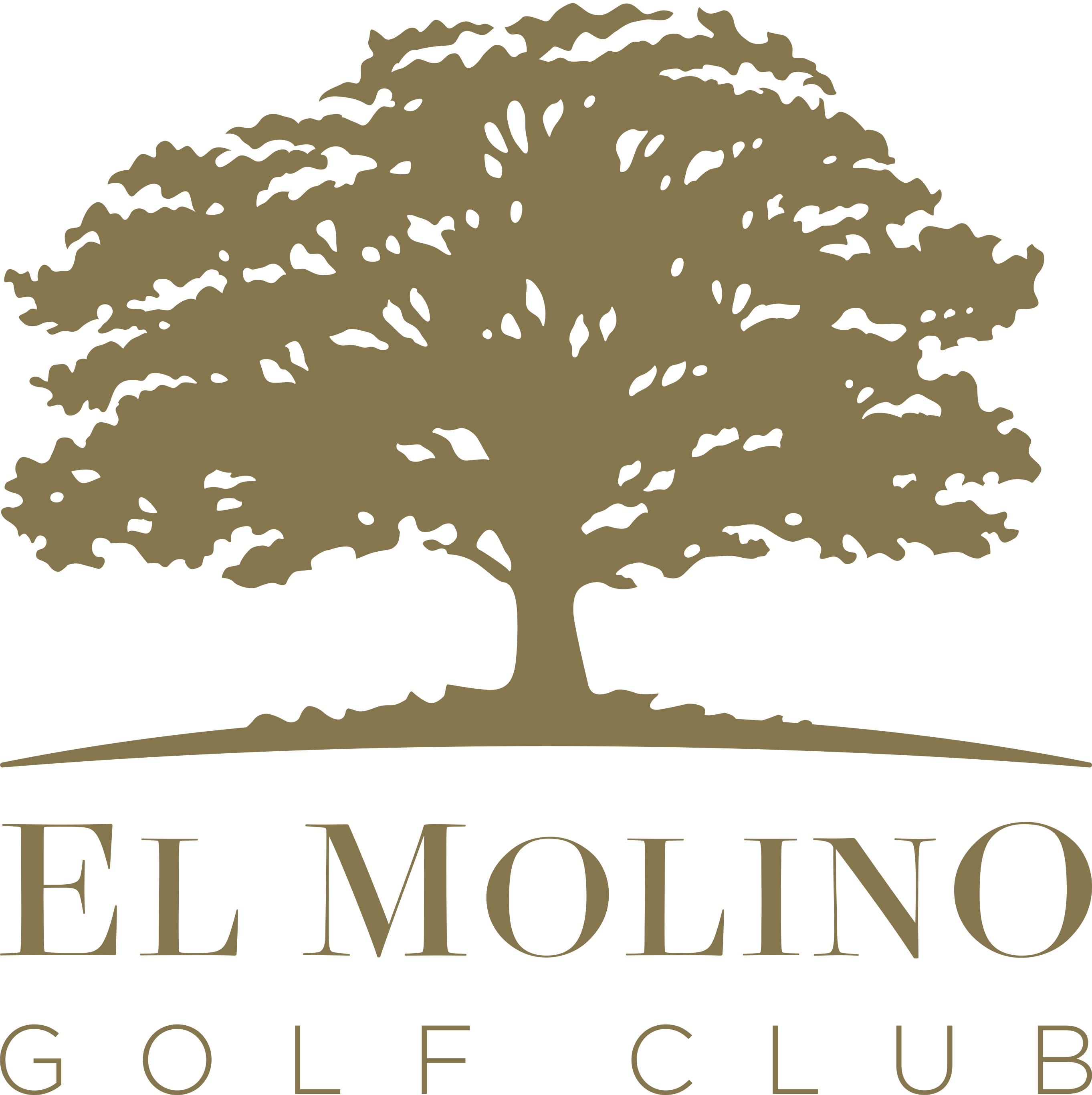 El Molino Golf Club Revista Pro León