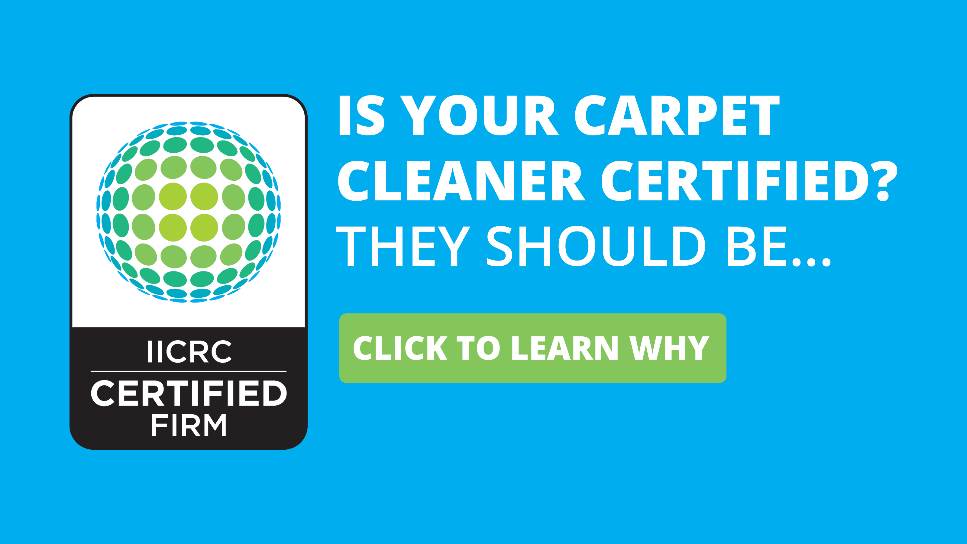 2 PROLINE Cleaning Services, Inc.