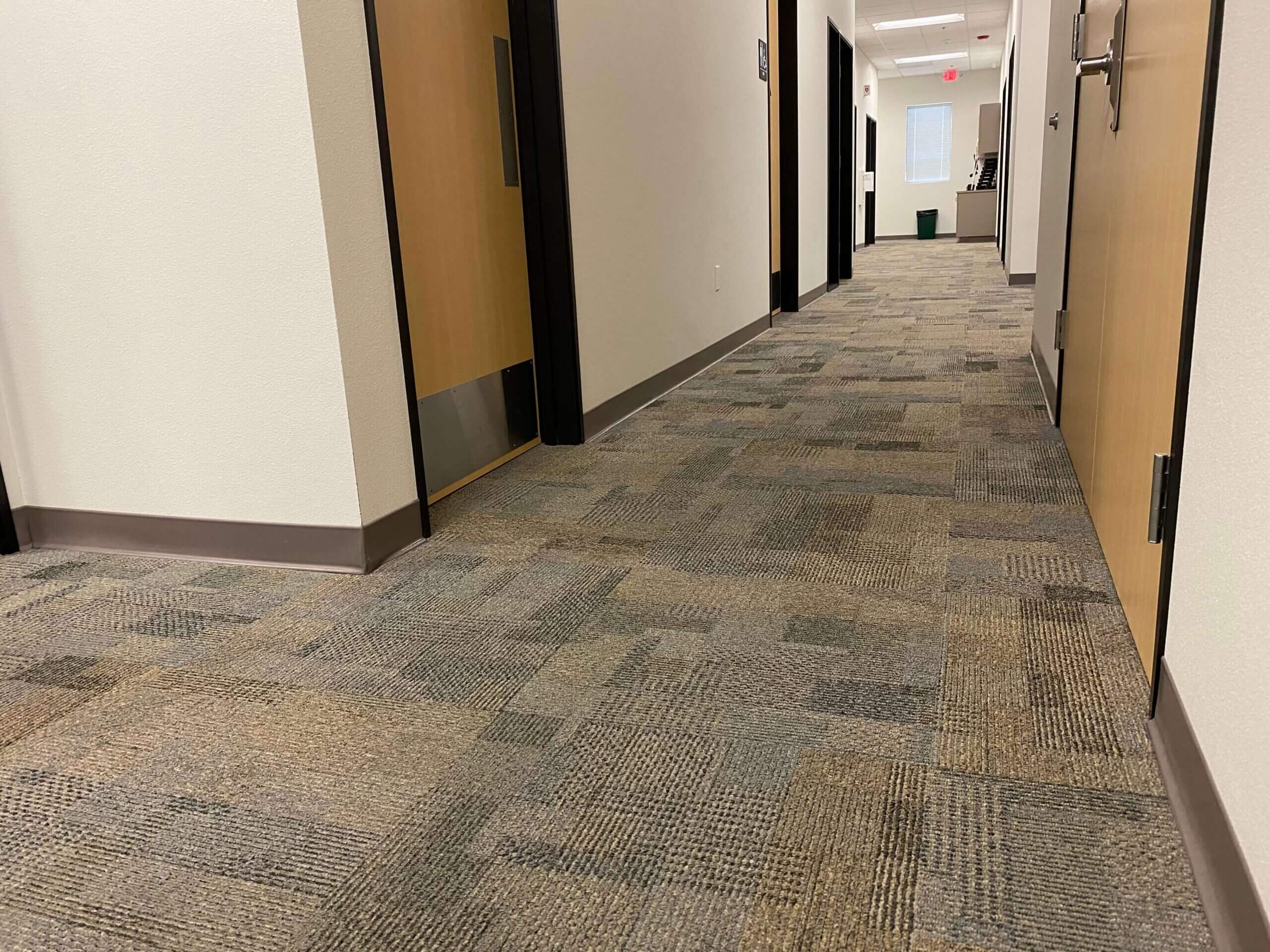 Commercial Carpet Cleaning PROLINE Cleaning Services, Inc.