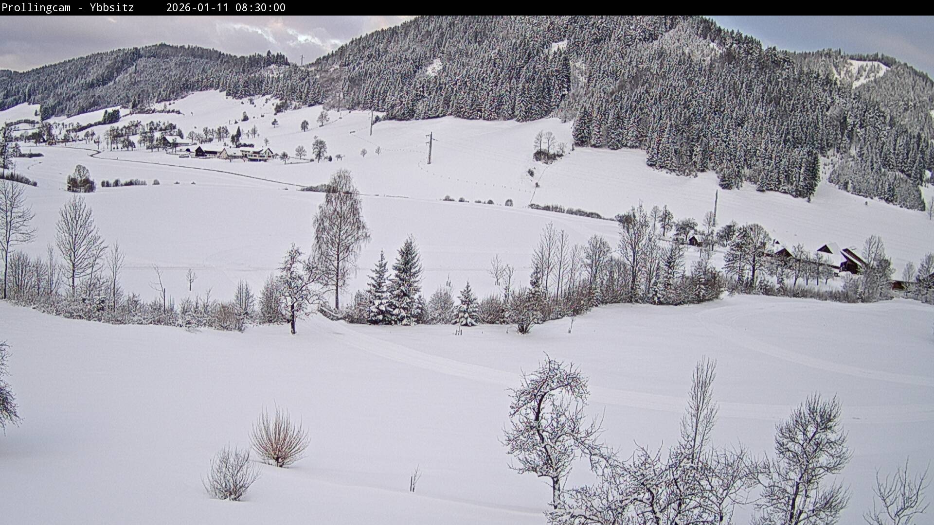 cam Prolling Gemeinde Ybbsitz
