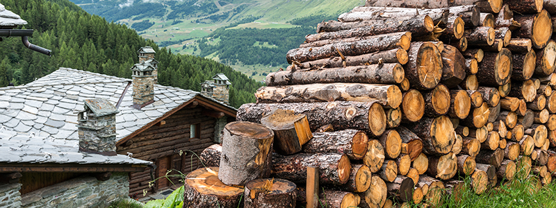 How to fix water leaks in your log home Prolog Restorations