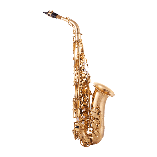 Tienda de instrumentos musicales en Guayaquil Pro Market Go