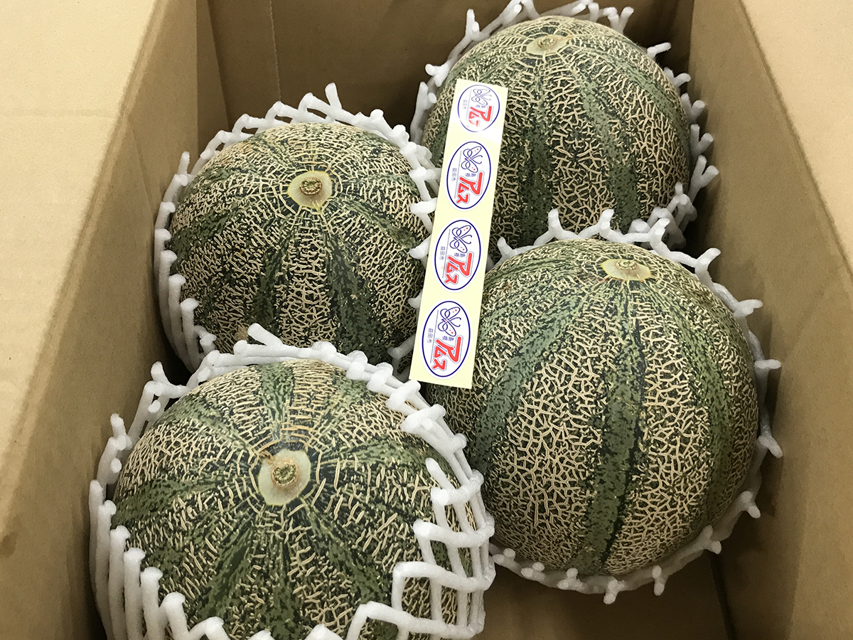 島根県産 アムスメロン（益田メロン） | 業務仕入・見積なら食品卸売の