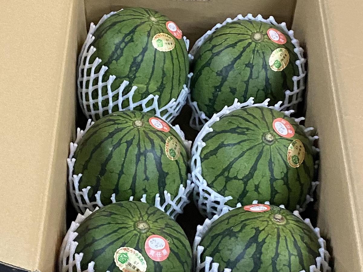 鹿児島県産 小玉すいか ピノガール | 業務仕入・見積なら食品卸売の