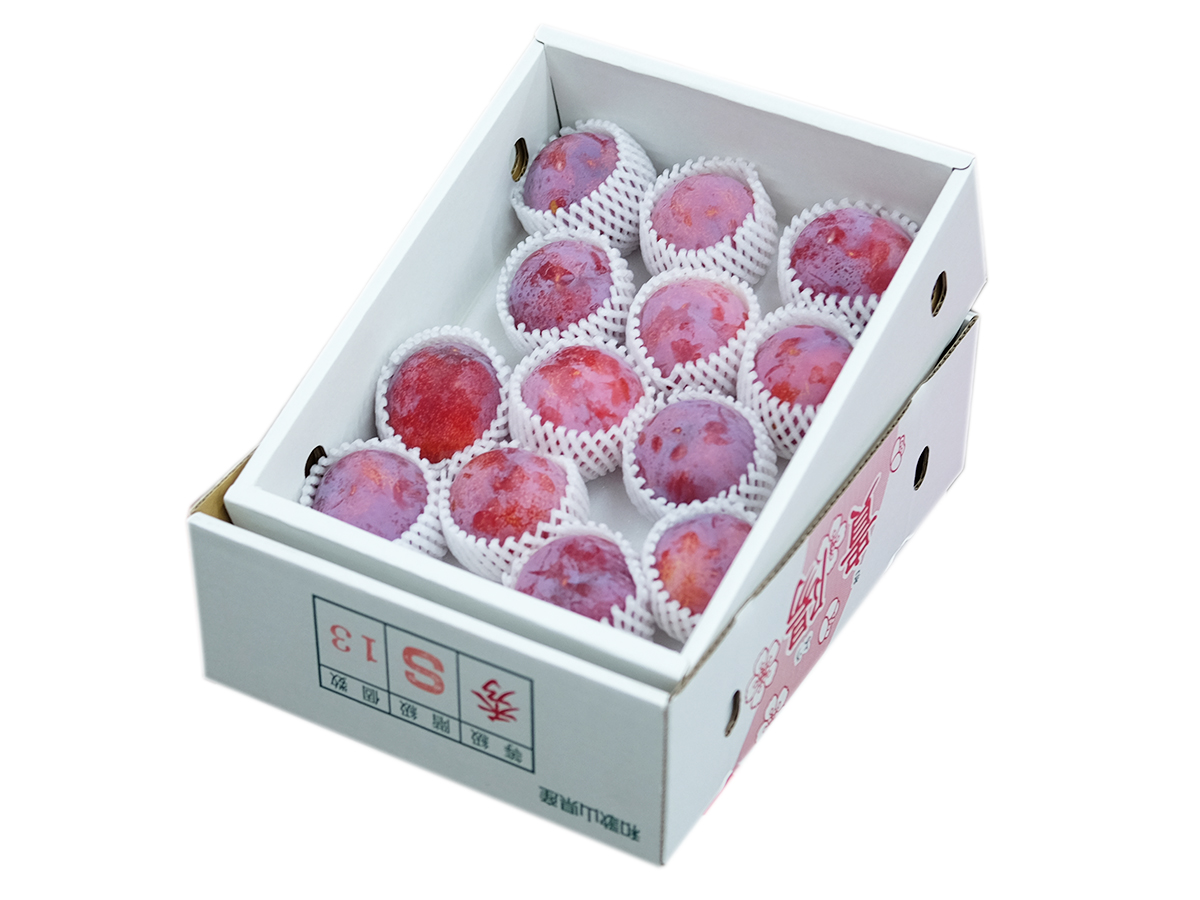 和歌山県産 プラム 貴陽（化粧箱） | 業務仕入・見積なら食品卸売の