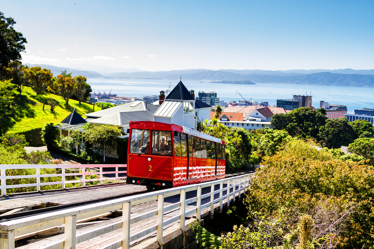 New Zealand Medical Diagnostic Imaging Technologists ProMed HR Solutions