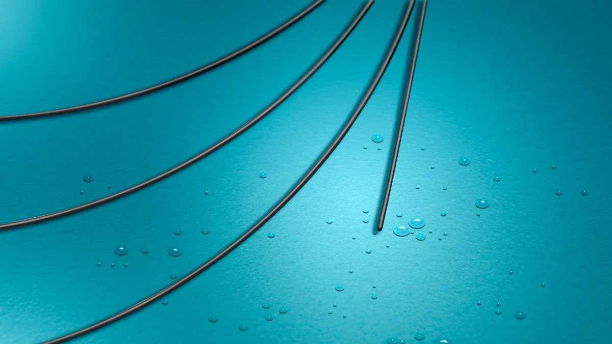 Guía de nitinol hidrofílica Promedon