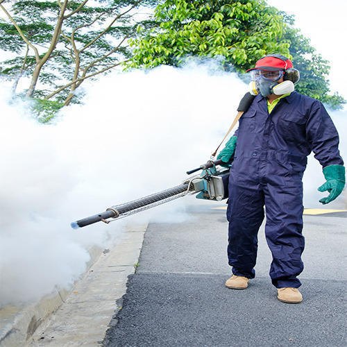 Home, Residential Pest Control Services in Bhosari, Residential Pest