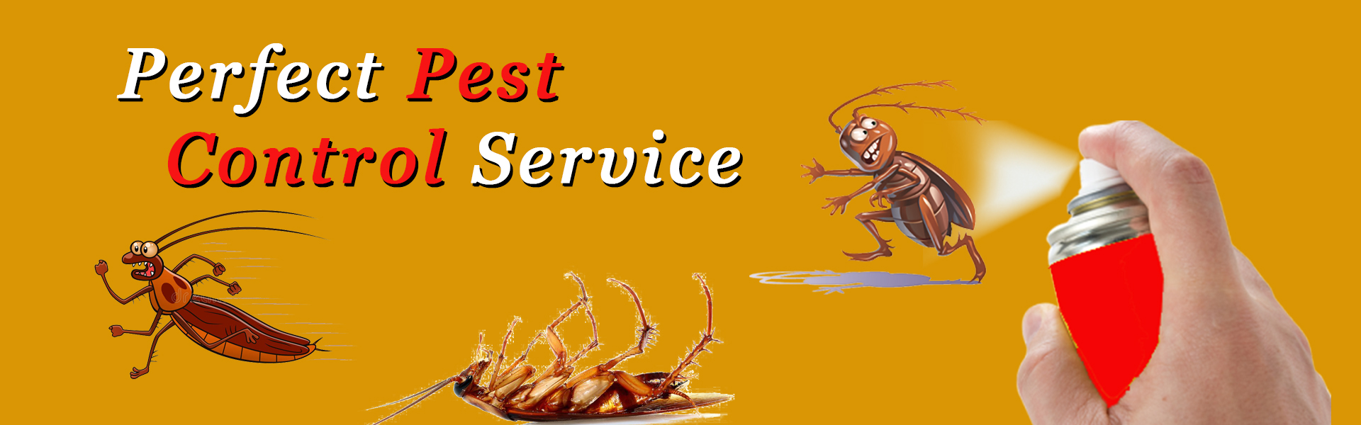 Home, Residential Pest Control Services in Bhosari, Residential Pest