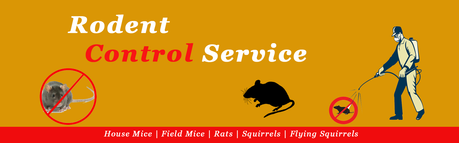 Home, Residential Pest Control Services in Bhosari, Residential Pest