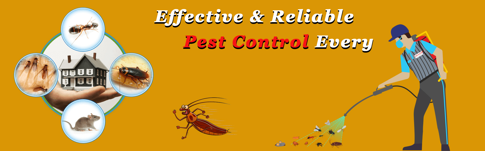 Home, Residential Pest Control Services in Bhosari, Residential Pest