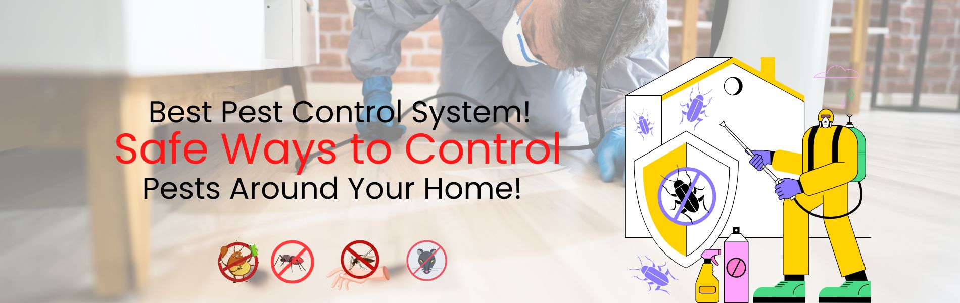 Home, Residential Pest Control Services in Bhosari, Residential Pest
