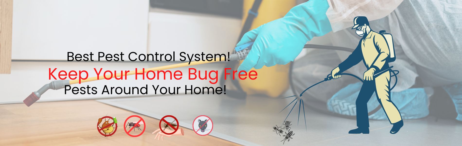 Home, Residential Pest Control Services in Bhosari, Residential Pest