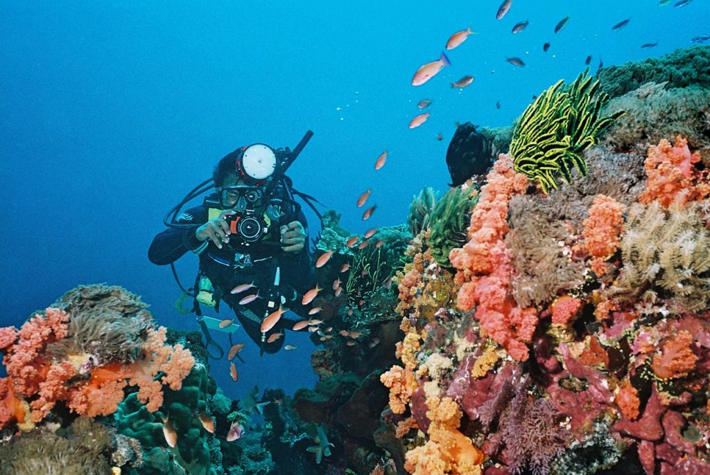 Bali Diving Activities