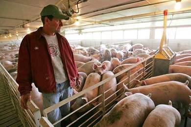 Ce Este Profitabil De FÄcut In Mediul Rural Ce Fel De Afacere Poate Fi DeschisÄ In Mediul Rural