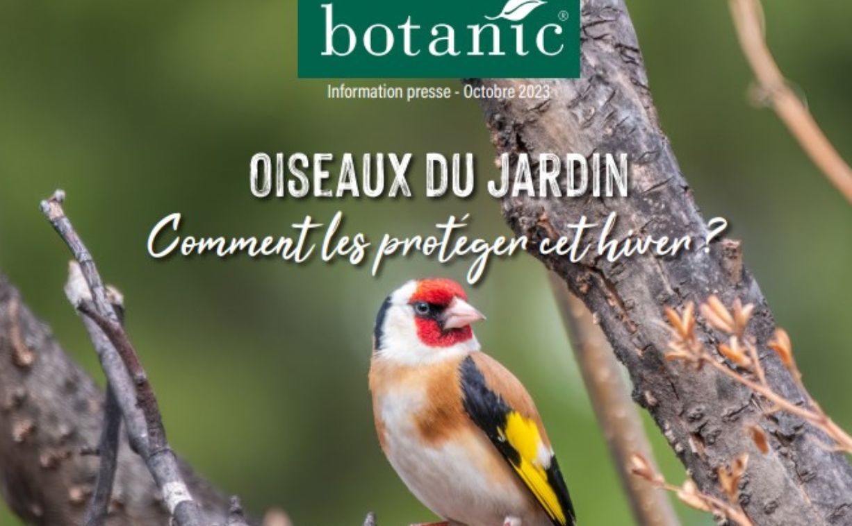 Botanic nouvelles solutions pour accueillir les oiseaux du jardin