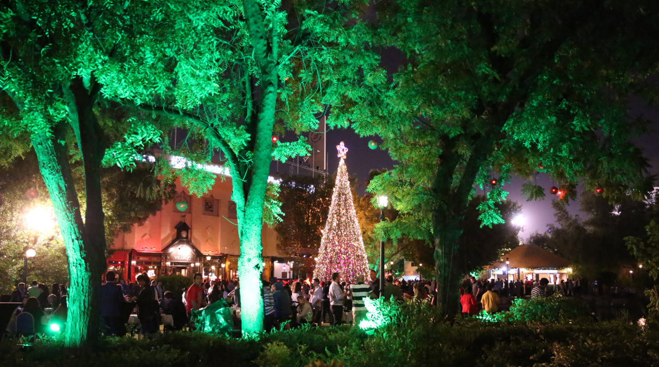 The Irish Village Christmas Day Lunch Promo PromoLover