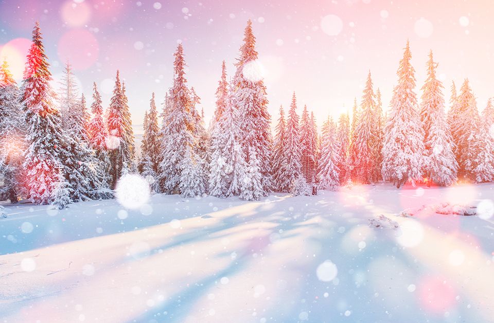 QE2 Winter Wonderland Brunch Promo PromoLover