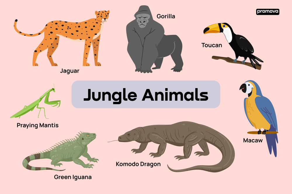 Jungle Animals List And Definitions, jungle animals